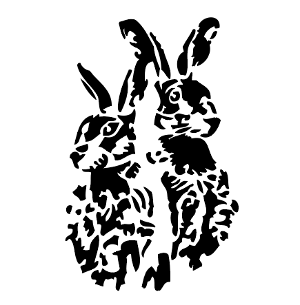 2 Hares